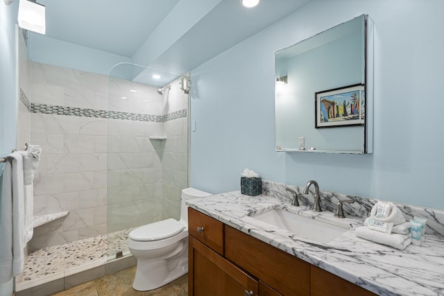 full bathroom featuring toilet, walk in shower, and vanity