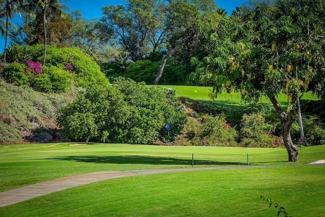 view of community featuring a yard