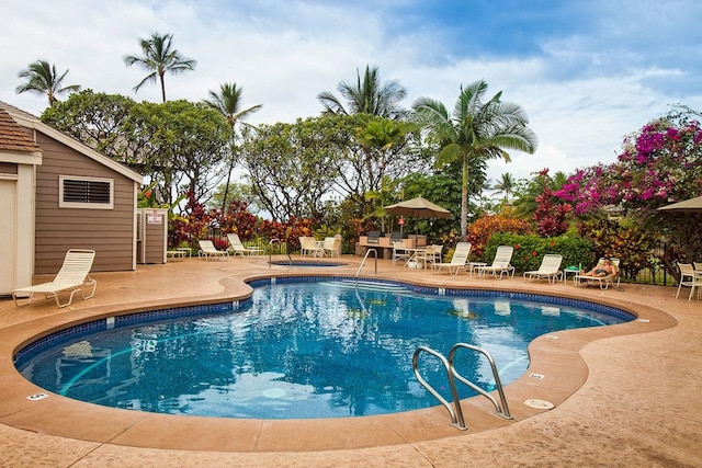 view of swimming pool with a patio