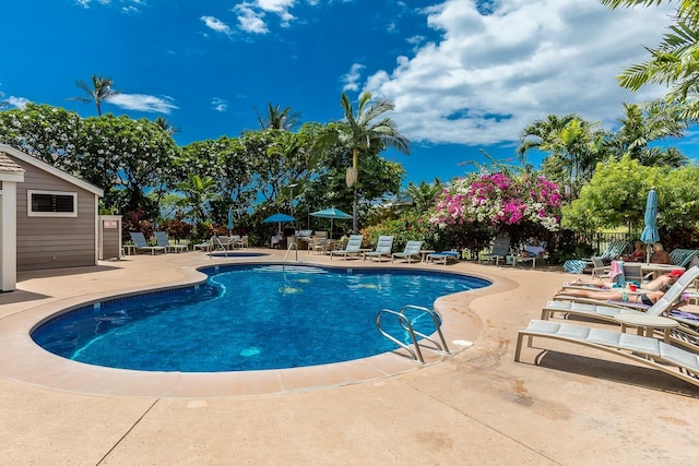 view of swimming pool featuring a patio and an outdoor structure