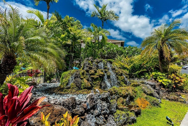 155 Wailea Ike Pl Unit 67, Kihei, HI 96753 - exterior space