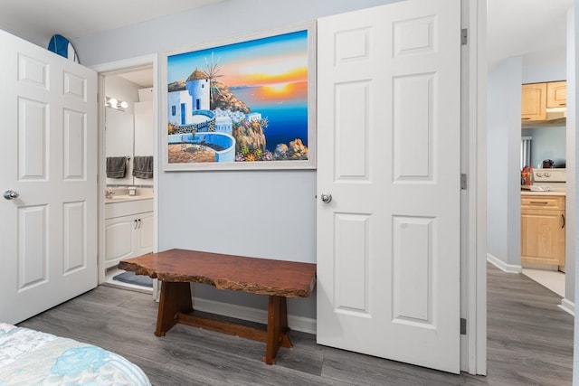 bedroom with wood-type flooring, sink, and ensuite bathroom