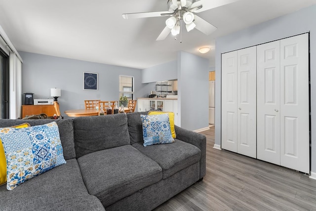 living room featuring ceiling fan and wood-type flooring