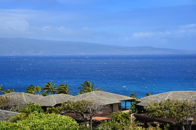 water view featuring a mountain view