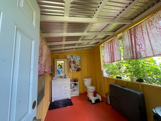 miscellaneous room featuring vaulted ceiling, wood walls, and sink