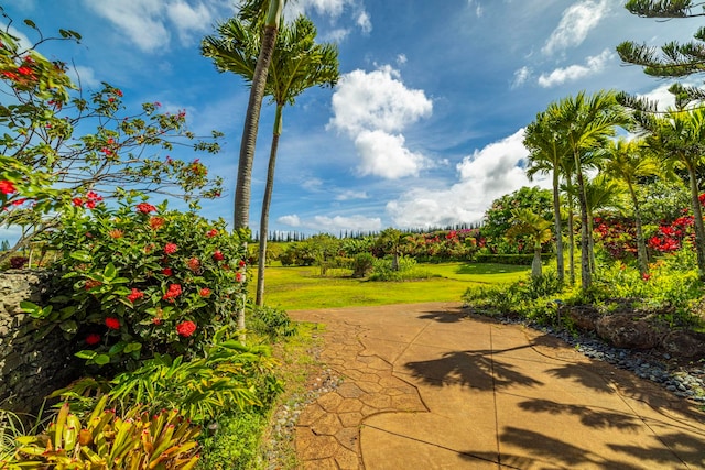 Listing photo 3 for 301 Plantation Estates Dr, Lahaina HI 96761