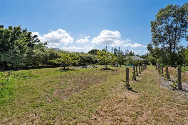 view of yard featuring a rural view