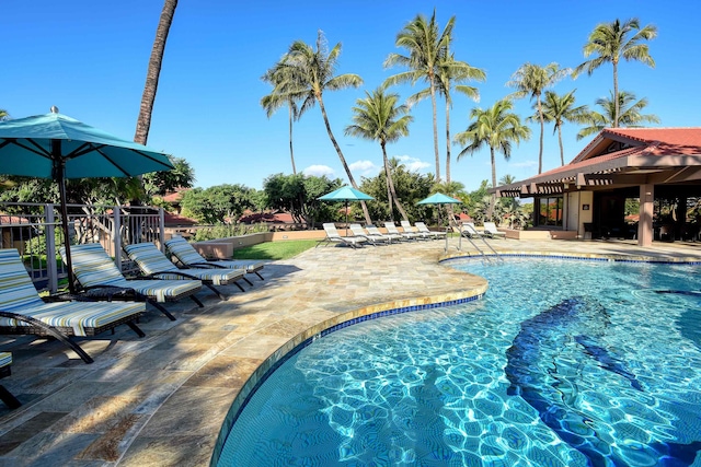 view of swimming pool featuring a patio area