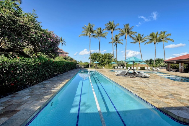 view of pool with a patio