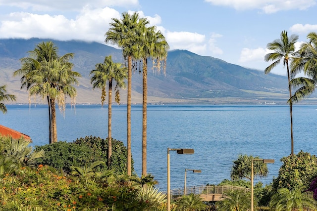 view of water feature featuring a mountain view