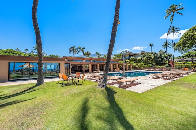 view of swimming pool with a lawn and a patio