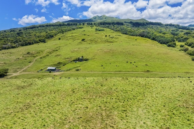 bird's eye view featuring a mountain view