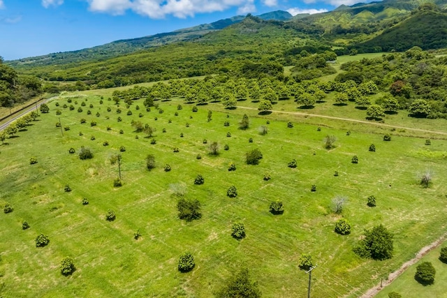 drone / aerial view featuring a mountain view