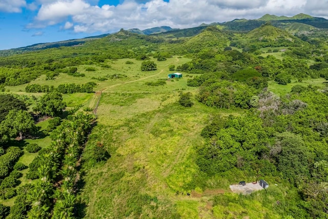 drone / aerial view with a mountain view