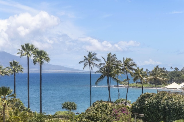 property view of water featuring a mountain view