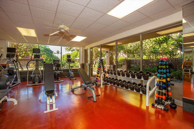 exercise room featuring a paneled ceiling, ceiling fan, and expansive windows