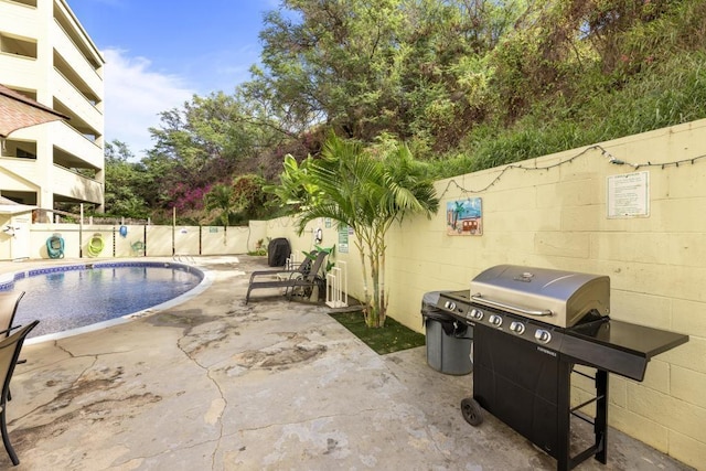 view of pool featuring a patio area and grilling area