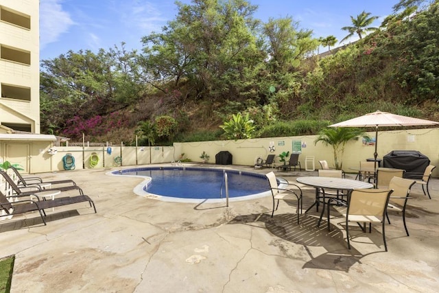 view of pool featuring a patio and area for grilling