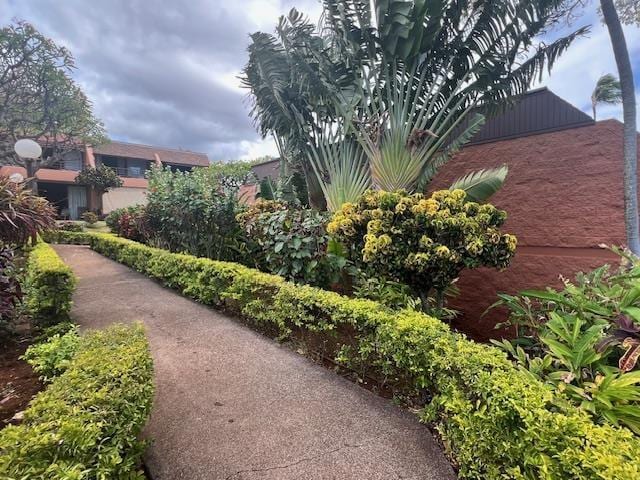 3959 Lower Honoapiilani Rd Unit 304, Lahaina, HI 96761 - view of property's community