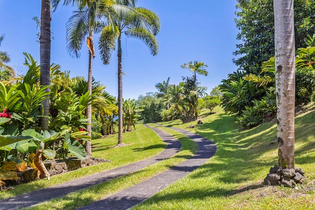 view of community featuring a yard