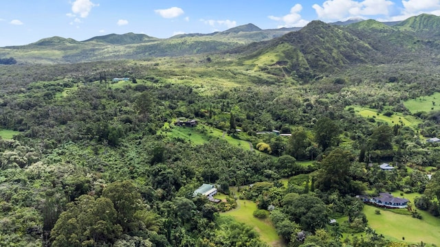 view of property location with a heavily wooded area and a mountainous background