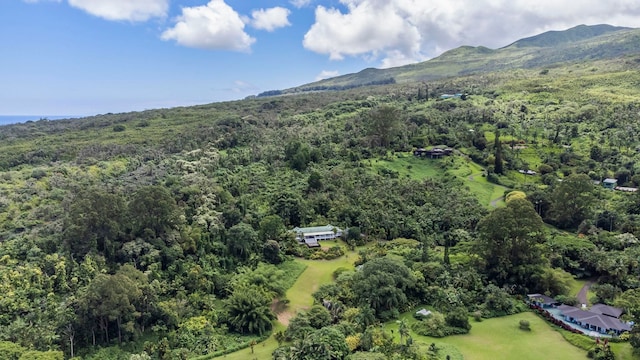 drone / aerial view with a mountain view