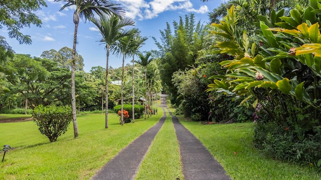 view of property's community with a lawn