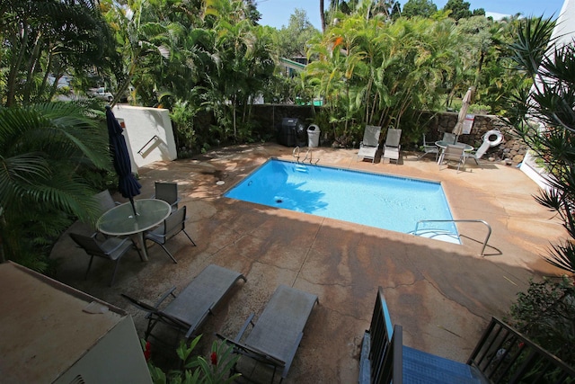 view of pool with a patio