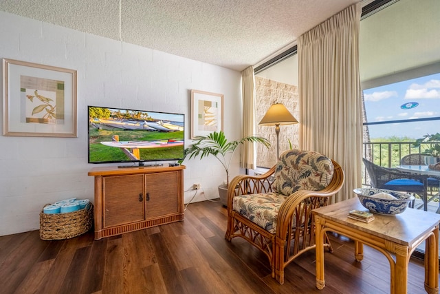 living area with dark hardwood / wood-style floors and a textured ceiling