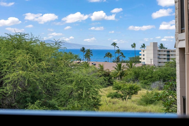 property view of water with a mountain view