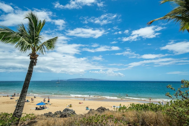 water view featuring a beach view