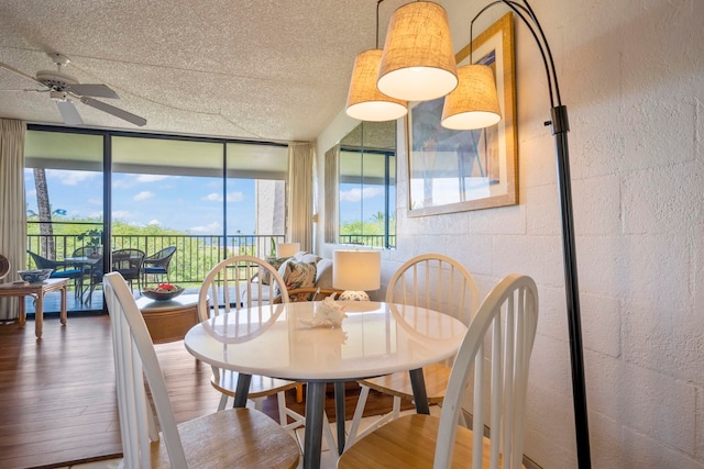 dining space featuring a wall of windows, ceiling fan, wood-type flooring, and a textured ceiling