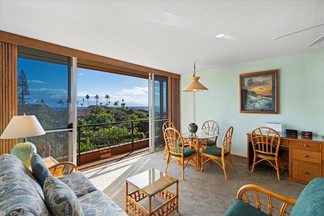 45 Kai Ala Dr Unit A409, Lahaina, HI 96761 - living area featuring carpet flooring, a textured ceiling, and baseboards