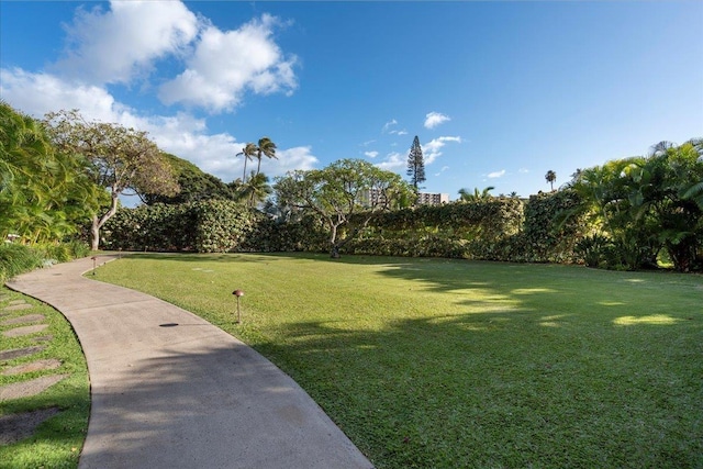 45 Kai Ala Dr Unit A409, Lahaina, HI 96761 - view of home's community with a lawn