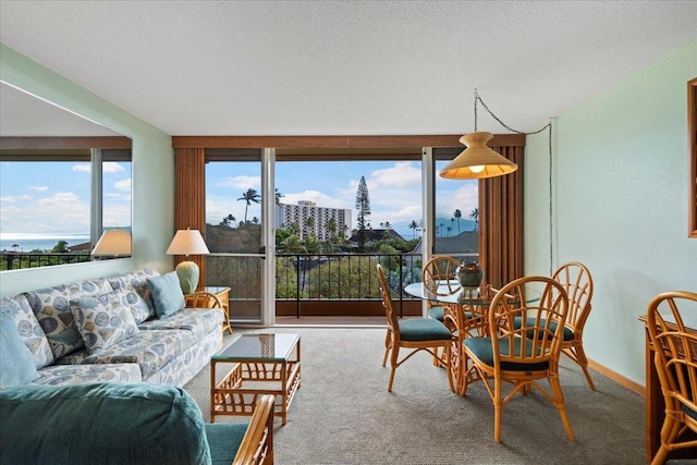 45 Kai Ala Dr Unit A409, Lahaina, HI 96761 - living area with carpet floors, baseboards, and a textured ceiling