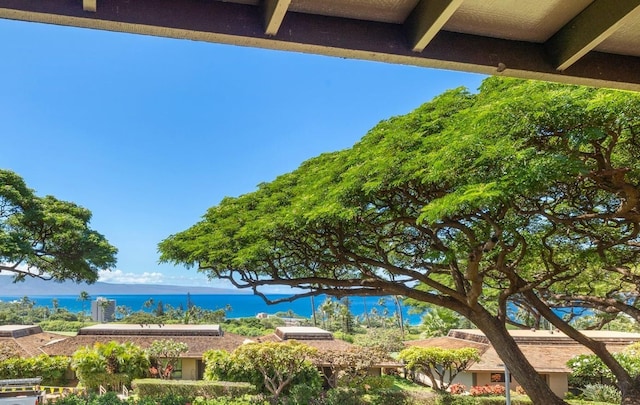 150 Puukolii Rd Unit 18, Lahaina, HI 96761 - water view