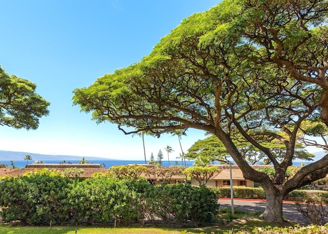 150 Puukolii Rd Unit 18, Lahaina, HI 96761 - view of home's community featuring a water view