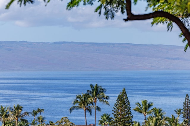 150 Puukolii Rd Unit 18, Lahaina, HI 96761 - water view