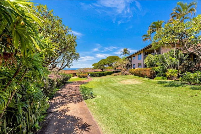 150 Puukolii Rd Unit 18, Lahaina, HI 96761 - view of green lawn