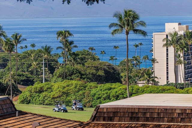 150 Puukolii Rd Unit 18, Lahaina, HI 96761 - water view