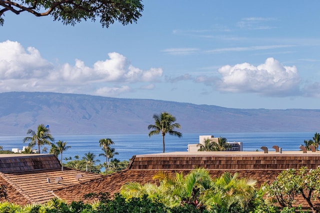 150 Puukolii Rd Unit 18, Lahaina, HI 96761 - water view with mountains