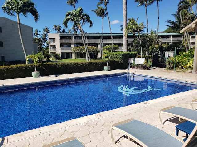 view of pool featuring a patio