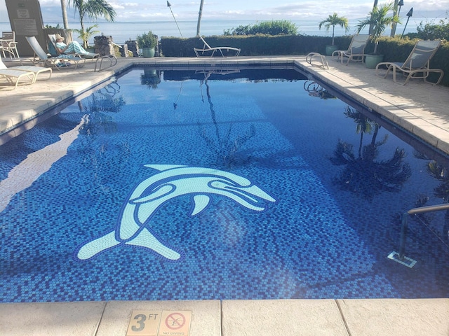 view of pool with a patio area