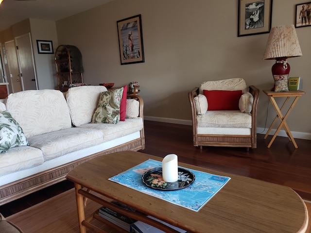 living room with dark wood-type flooring