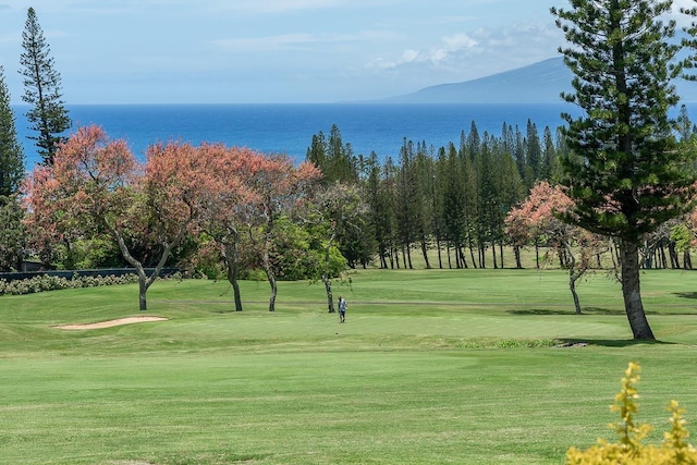 view of property's community with a water and mountain view and a yard