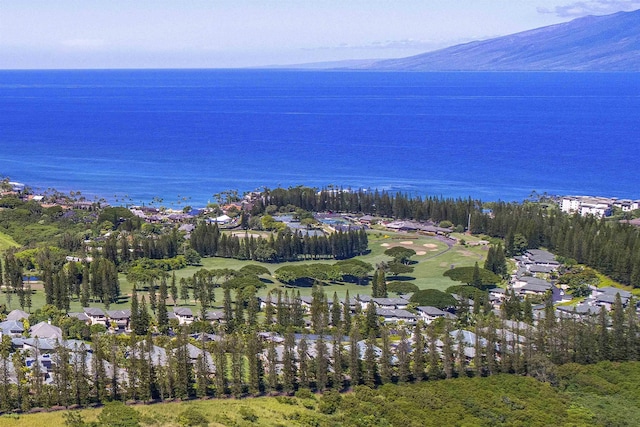 drone / aerial view with a water and mountain view