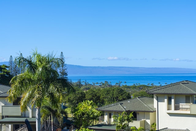 water view featuring a mountain view