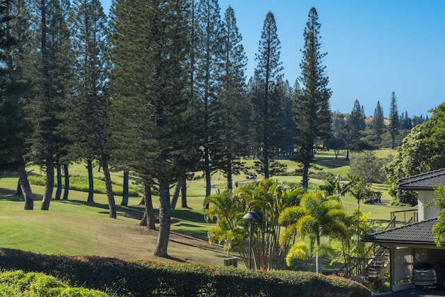 view of community featuring a lawn