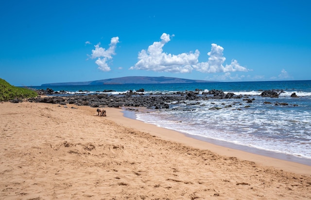 property view of water with a beach view