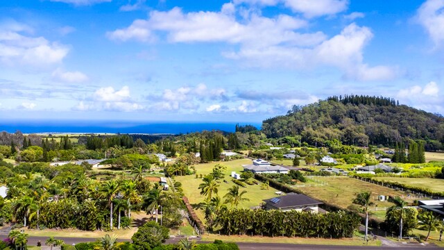 50 Uakoko Pl, Haiku, HI 96708 - aerial view